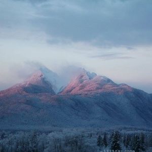 Meet your Posher, Dennis